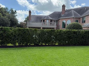 Glenroy S.'s Bush Trimming service result