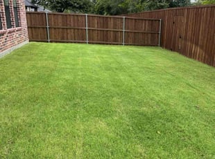 Helen T.'s lawn care service result