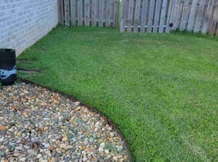 Dana O.'s lawn maintenance service result