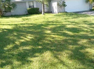 Neil L.'s turf care service result