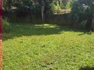 Markender F.'s grass maintenance service result