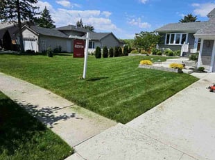 Tammy S.'s lawn maintenance service result