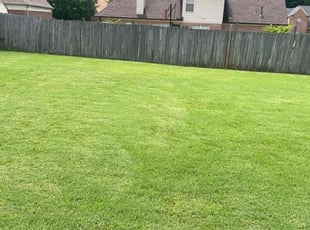 Larry M.'s grass cutting service result