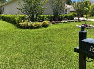 Nicholas D.'s grass cutting service result