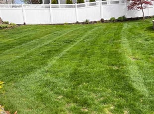 Sara W.'s yard care service result