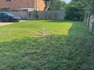 Heather T.'s turf maintenance service result