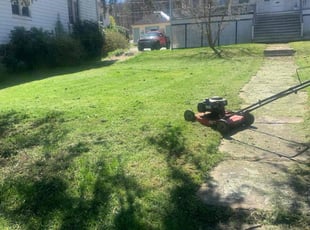 Terri E.'s turf care service result