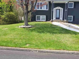 Vickie B.'s lawn maintenance service result