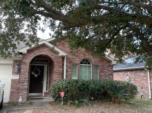 Cyndi C.'s Bush Trimming service result