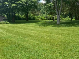 Jordan F.'s lawn service service result