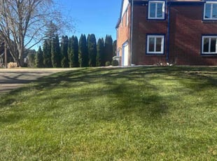 Pauletta J.'s Leaf Removal service result