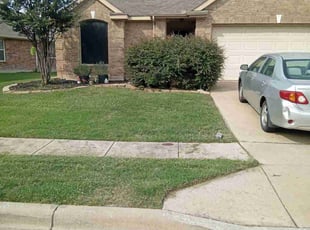 Joe C.'s grass cutting service result