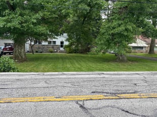 Shannan B.'s turf care service result