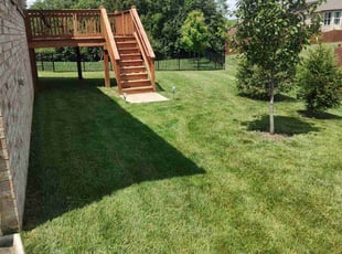 Amy S.'s landscaping service result