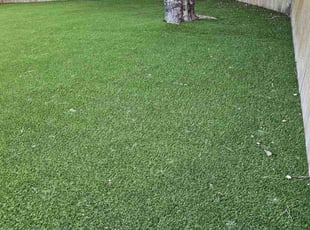Angela C.'s Leaf Removal service result