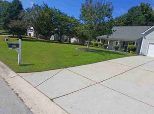 Melissa S.'s lawn care services service result