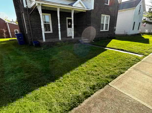 Doris H.'s turf maintenance service result