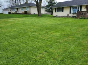 James T.'s lawn care service result