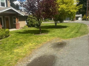 Lizbeth P.'s lawn care service result