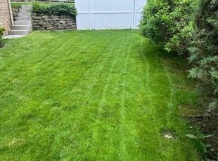 Damien M.'s grass maintenance service result