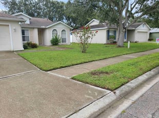 Eric K.'s grass maintenance service result