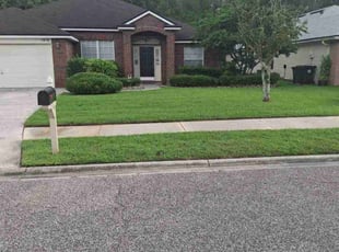 George A.'s lawn care service result