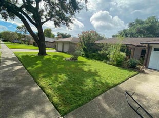 Antis G.'s lawn care services service result