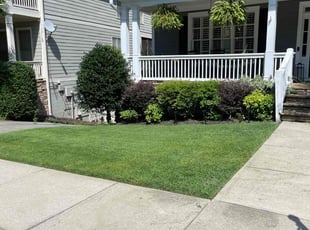 Sarah B.'s grass cutting service result