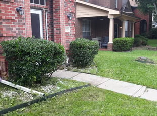 Lisa P.'s Bush Trimming service result