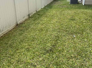 James J.'s lawn maintenance service result