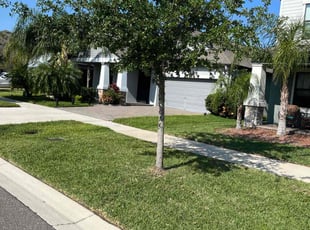 Cheryl H.'s Tree Trimming service result
