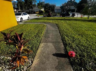 Janet P.'s lawn maintenance service result