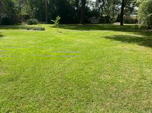 Sanford C.'s residential landscaping service result