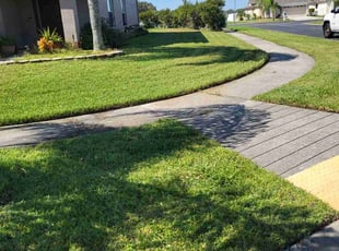 Dawn S.'s lawn maintenance service result