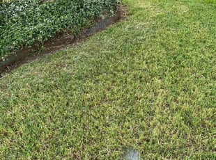 Anna P.'s Cleanup service result