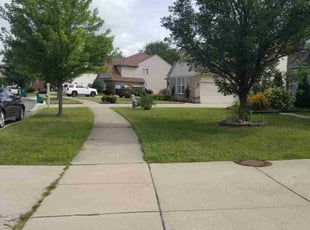 Ashley J.'s grass maintenance service result