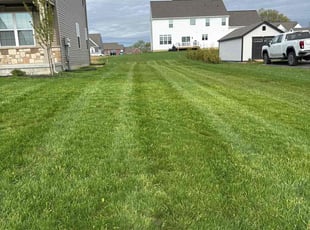 Tabitha B.'s lawn service service result