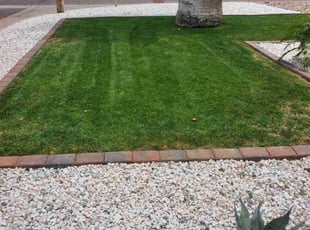 Jay N.'s lawn service service result