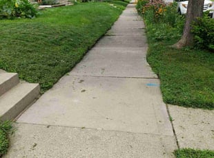 Frank B.'s turf maintenance service result