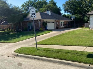 Ilya K.'s lawn service service result