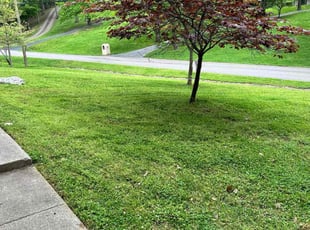 Linda R.'s lawn care services service result