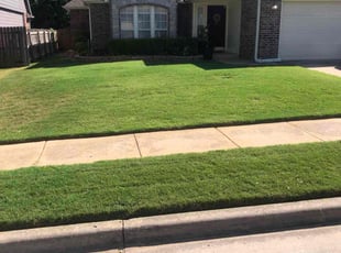 Butch M.'s lawn maintenance service result