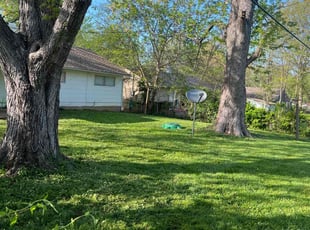 Cathy L.'s turf care service result