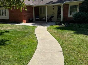 Ali B.'s turf maintenance service result