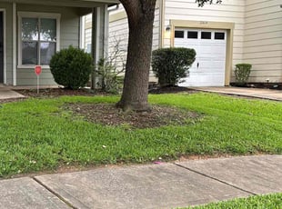 Jim M.'s lawn maintenance service result