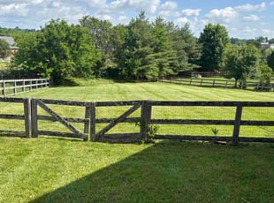 Miles D.'s turf maintenance service result