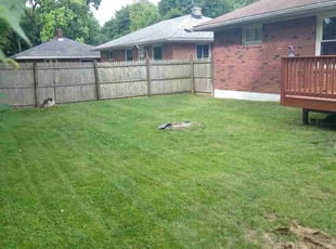 James G.'s turf maintenance service result