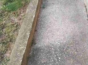 Elizabeth K.'s lawn maintenance service result