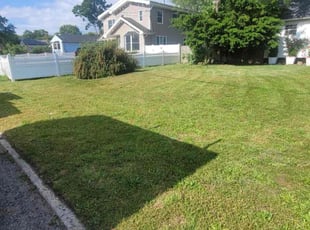 Lisa W.'s grass maintenance service result