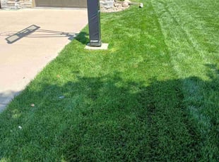 Jean M.'s lawn care service result